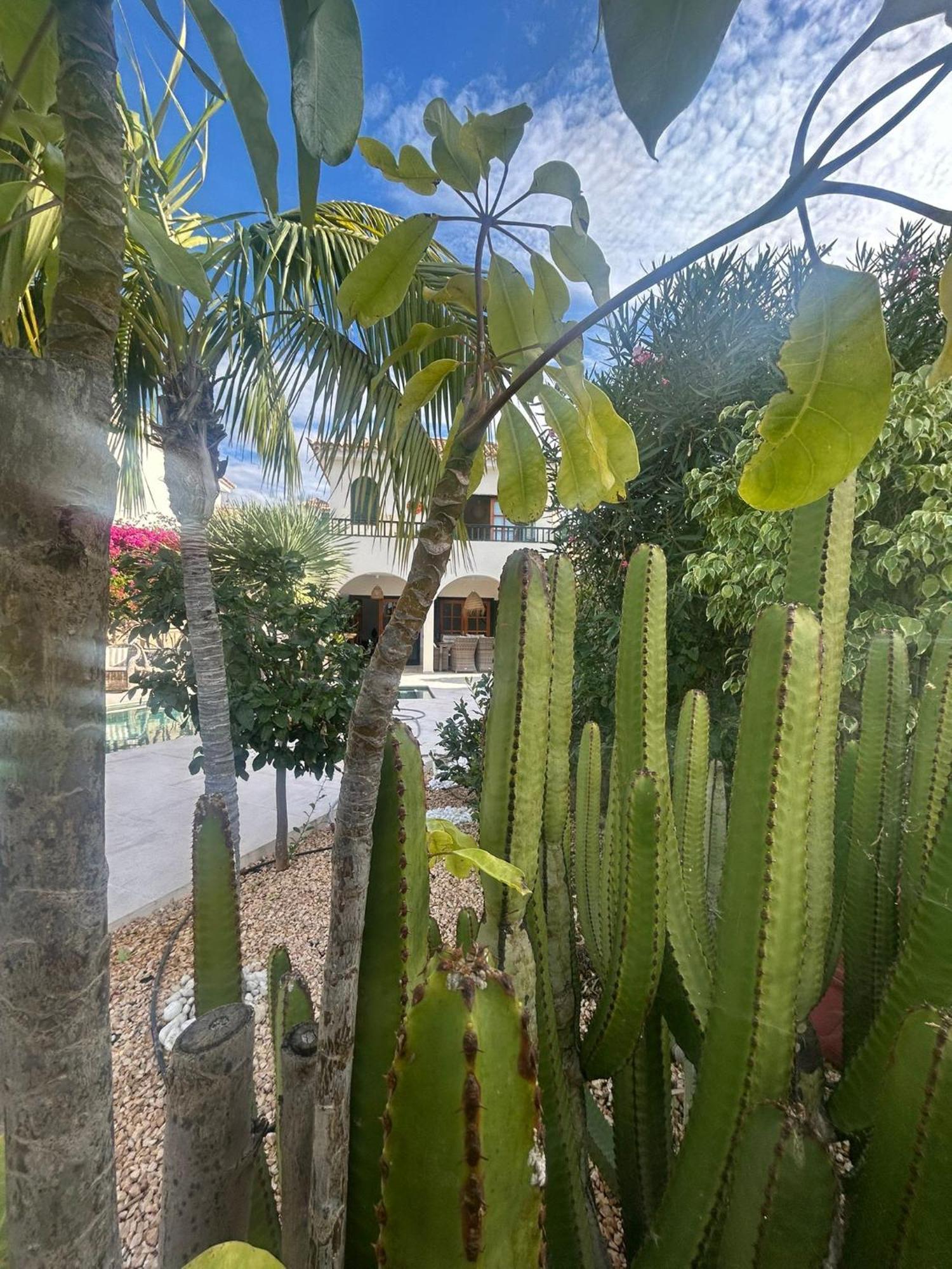 Villa Ibiza - Beautiful House With Private Pool Chayofa Екстер'єр фото