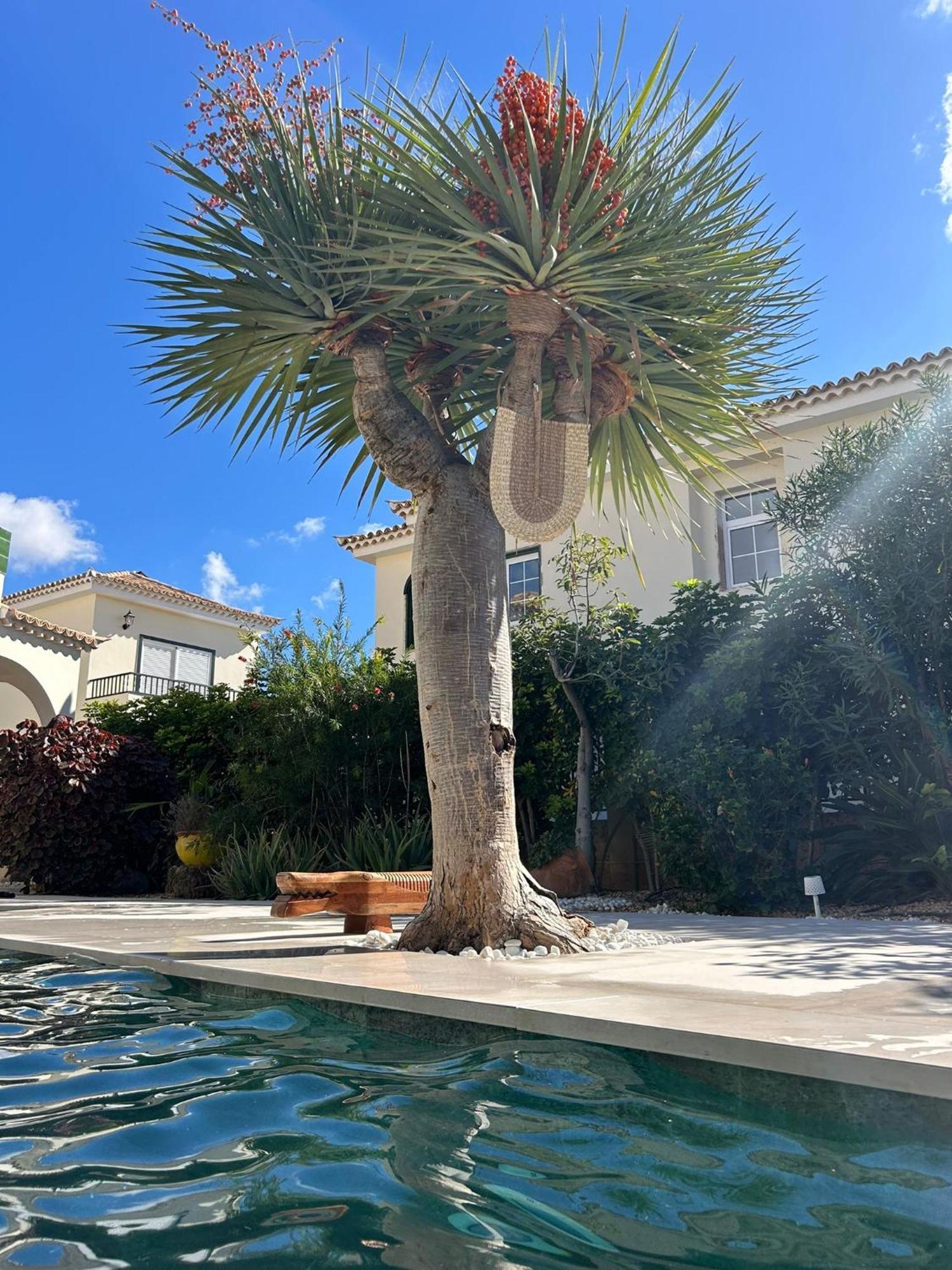 Villa Ibiza - Beautiful House With Private Pool Chayofa Екстер'єр фото